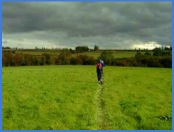 1.25 p.m. - Larry walking across fields as we get near to Waltham. Clouds looking very ominous .